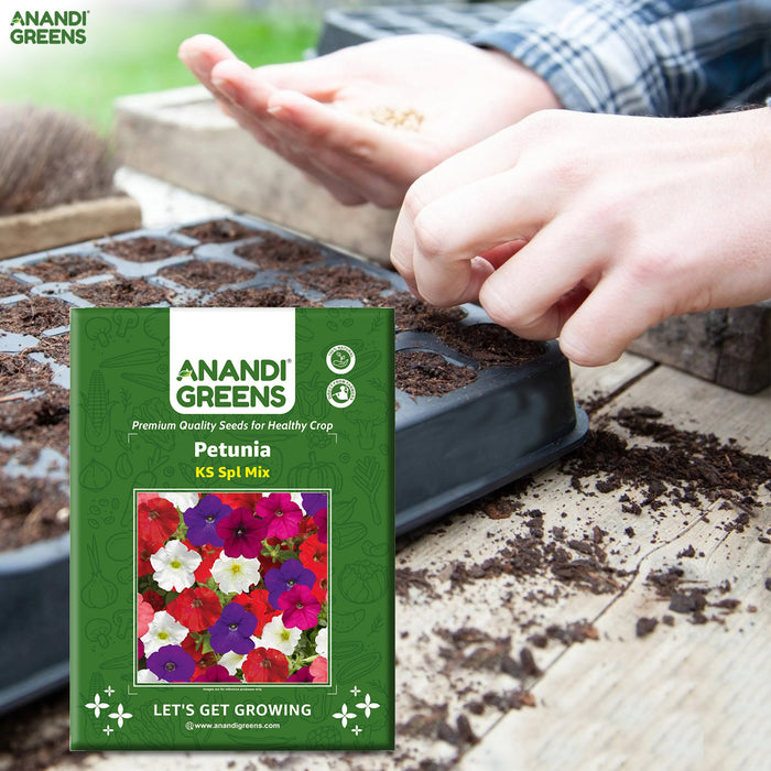 Petunia-(KS Spl Mix) – Premium-Open-Pollinated-Seeds