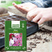 Phlox-(Beauty Mix)