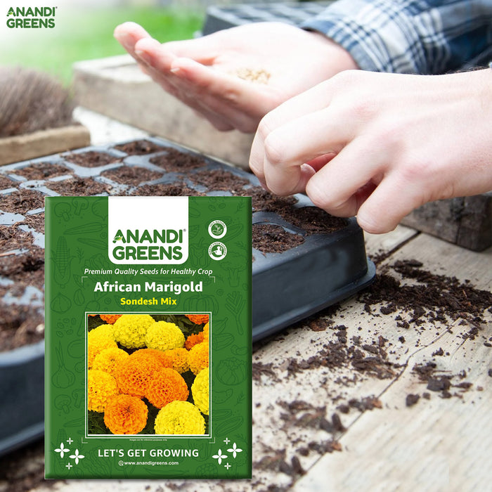 marigold hybrid seeds African Marigold (Sondesh Mix) – Seeds — Anandi Green's