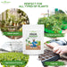 PROM-(Phosphorus-Rich-Organic-Manure)