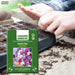 Sweet-Pea-(KS Spl Mix) – Premium-Open-Pollinated-Seeds