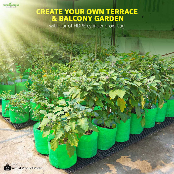 HDPE grow bag 12x12 inch for vegetable and terrace gardening