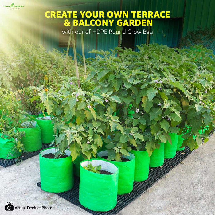 Terrace and balcony garden with green plants in HDPE round grow bags, promoting self-gardening.