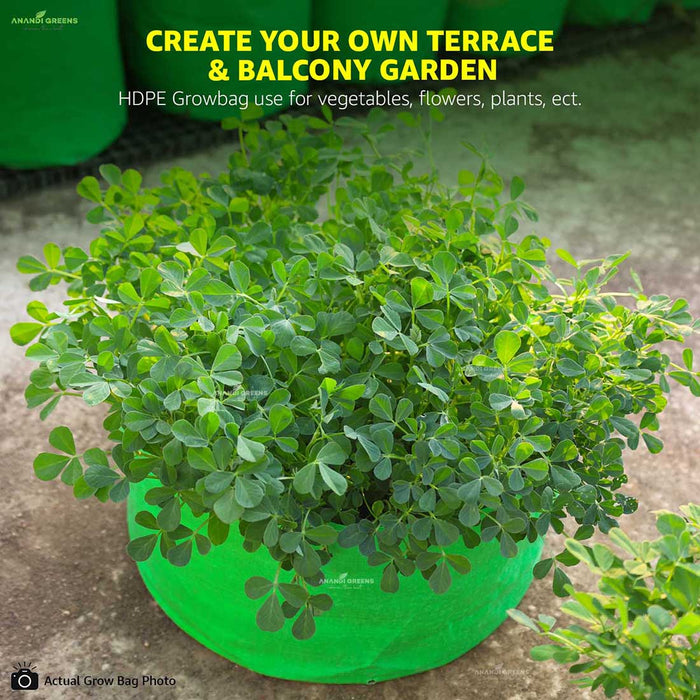 Anandi greens HDPE grow bag 12x6 inch for vegetable and terrace gardening