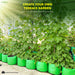 Terrace garden with green plants in HDPE round grow bags, promoting self-gardening.