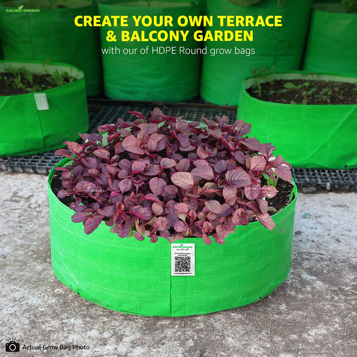 HDPE grow bag 12x12 inch perfect for vegetable, terrace & balcony garden
