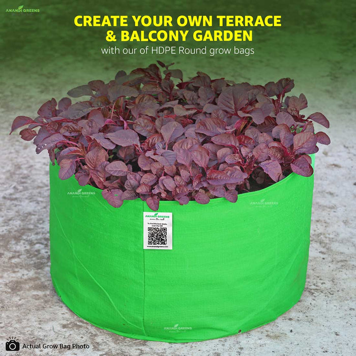 Green grow bag with purple plants on a textured surface, featuring text about creating a terrace or balcony garden.