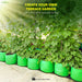 Terrace garden with green plants in HDPE round grow bags, promoting self-gardening.