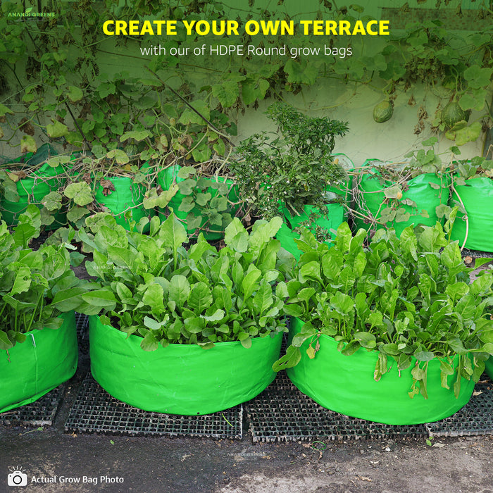 Green HDPE round grow bags with plants on a terrace, promoting the use of these bags for gardening.