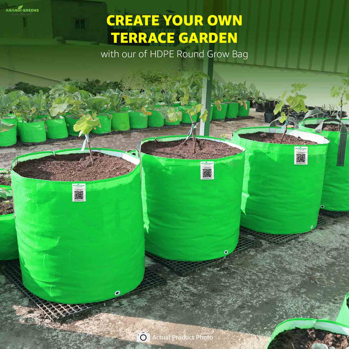 Green HDPE round grow bags with plants on a terrace, promoting self-gardening.