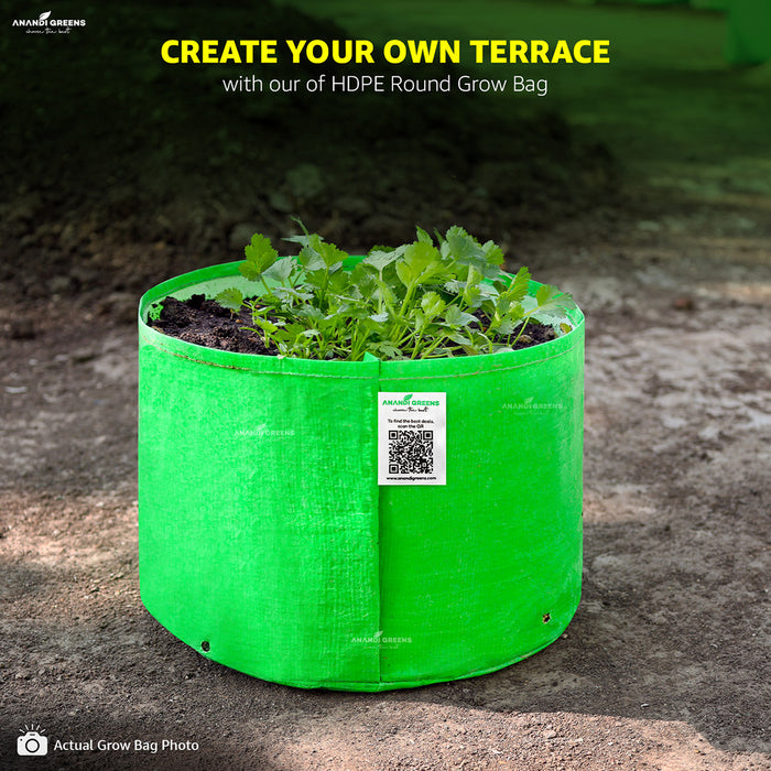 HDPE grow bag 9x6 inch for vegetable and terrace gardening