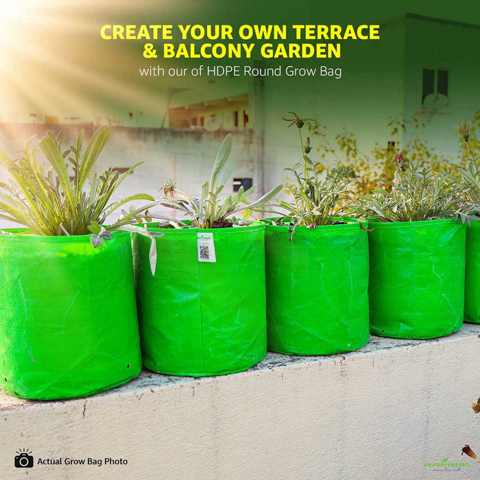 HDPE grow bag for terrace and balcony gardening