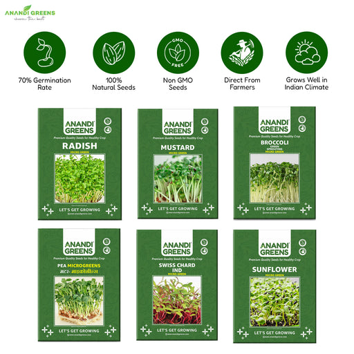 6 in 1 microgreens seeds combo pack with mustard, broccoli, pea, radish, sunflower and swiss chard microgreens growing