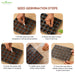 Step-by-step guide to seed germination in seedling tray with images of hands performing each step.