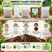 An infographic titled 'PERFECT PLANT FOOD MIX' showing labeled bags of bone meal, trichoderma, pseudomonas, coco peat, and perlite above a recommended mixing ratio and how-to use section. The image is not a clean product photo of a single sellable item and functions as an explanatory promotional graphic, so subject_type is Instruction Diagram rather than Product/Packaging.