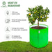 hdpe green grow bag 15x15 inch for terrace gardening