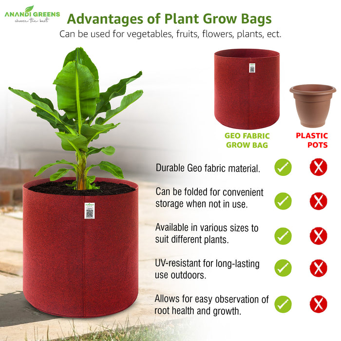 Geo-Fabric-Plant-Grow-Bag-24x24-Inch