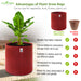 Geo-Fabric-Plant-Grow-Bag-24x24-Inch