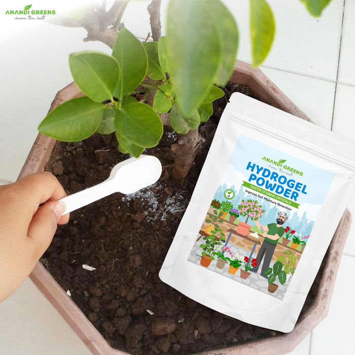 Person-using-hydrogel-powder-on-a-plant-with-AnangGreens-packaging-in-the-foreground