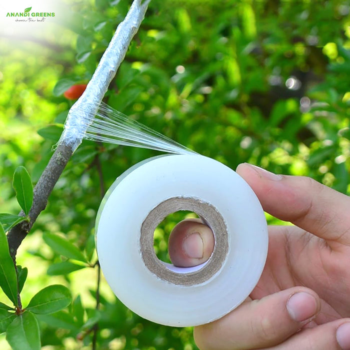 Plant-Grafting-Tape