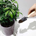 Succulent-Plant-Mini-Tools Set 3-in-1