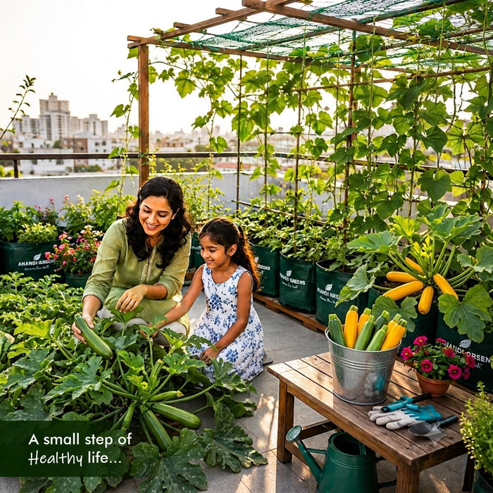 Green And Yellow Zucchini Seeds Combo