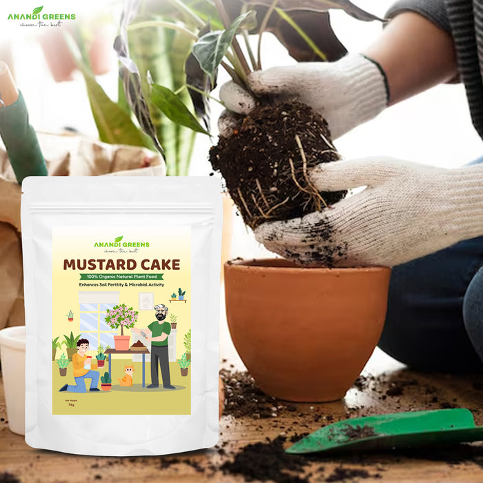 Mustard Cake Fertilizer – Natural Organic Nitrogen for Plants