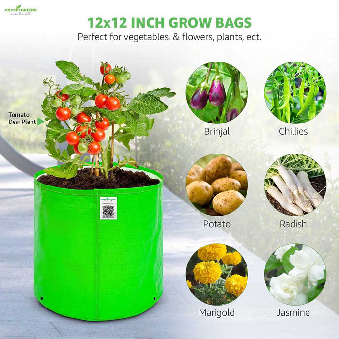 12x12 INCH GROW BAGS
Perfect for vegetables, & flowers, plants, Tomato Desi Plant, Brinjal, Chillies, Potato, Radish, Marigold, Jasmine