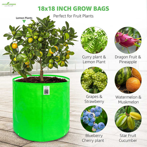 Green grow bag with lemon plant and images of other plants and fruits.
