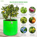 Green grow bag with lemon plant and images of other plants and fruits.
