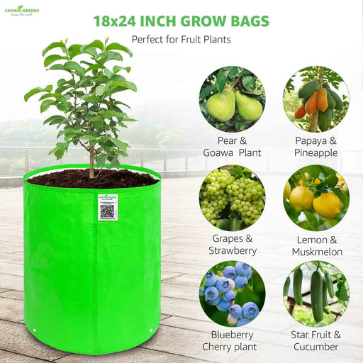 Green grow bag with fruit plants and images of fruits on a white background