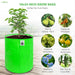Green grow bag with fruit plants and images of fruits on a white background