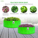 Green grow bags with plants on a wooden surface, featuring images of different plants and text about their uses.