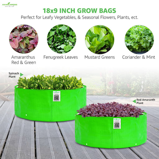 Green grow bags with plants on a wooden surface, featuring text about size and plant types.