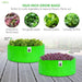 Green grow bags with plants on a wooden surface, featuring text about size and plant types.