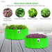 Green grow bags with plants, featuring Amaranthus, Fenugreek Leaves, Mustard Greens, Coriander & Mint, and Spinach Plant.