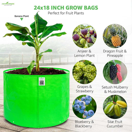 24x18 inch for heavy plants like papaya, banana