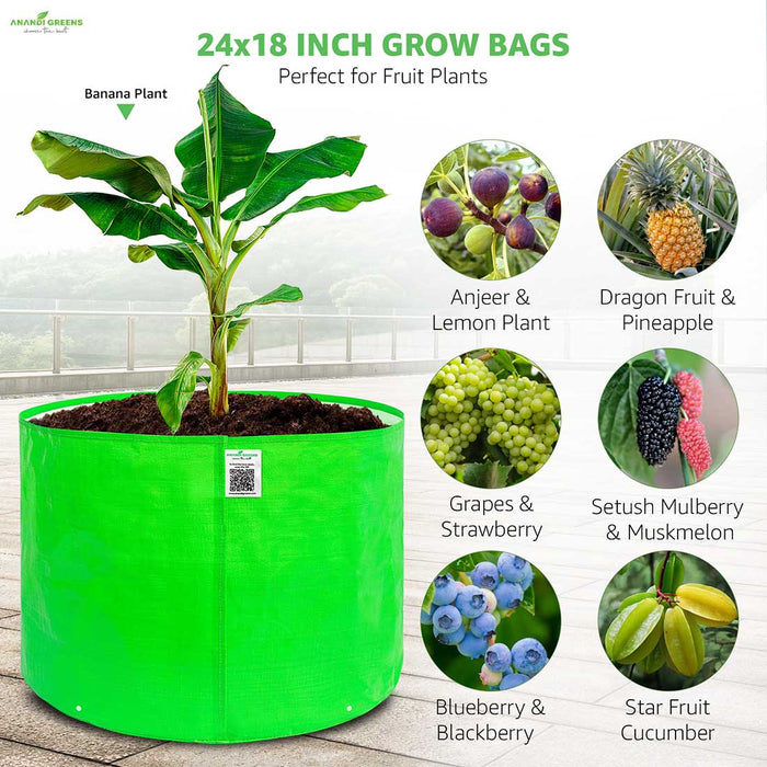 24x18 inch for heavy plants like papaya, banana