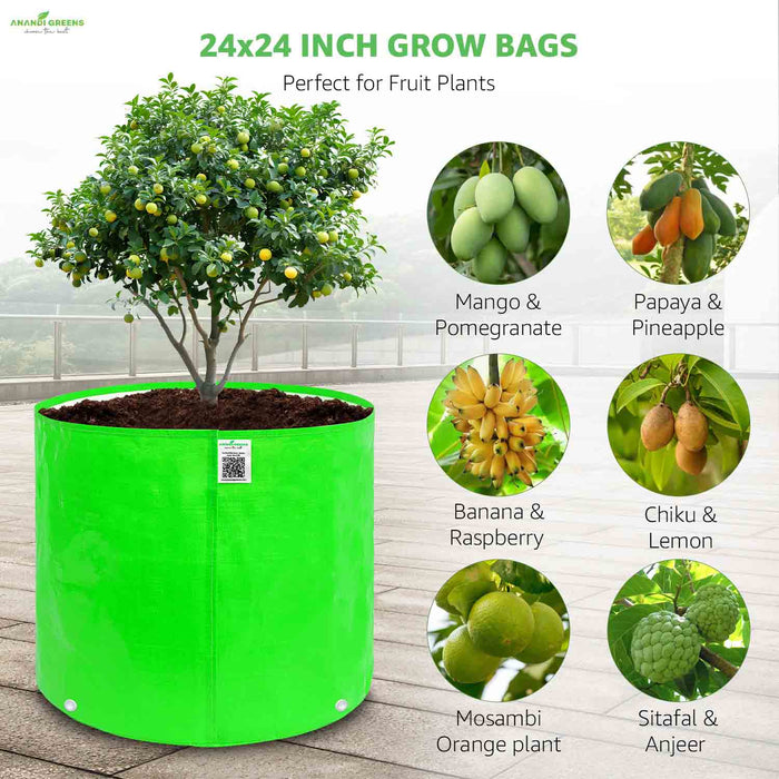 Green grow bag with fruit plants and images of fruits on a wooden surface
