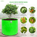 Green grow bag with fruit plants and images of fruits on a wooden surface