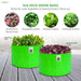 9x6 inch Grow Bag for small plants and herbs