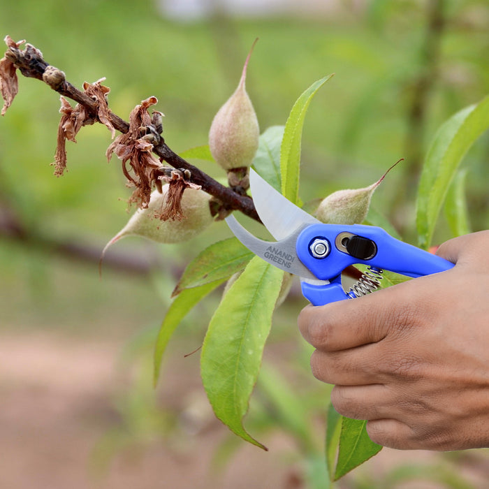 Mejor Cutter Hand Pruner - Precision Blades, Ergonomic Design, Durable Construction