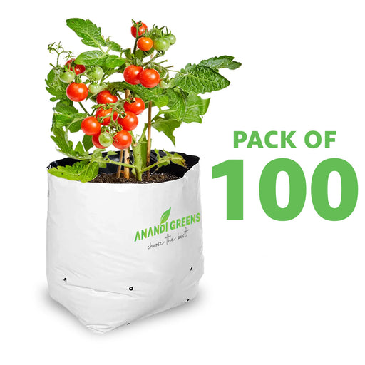 LDPE-Double-Layer-Grow-Bag-20x20x35-cm