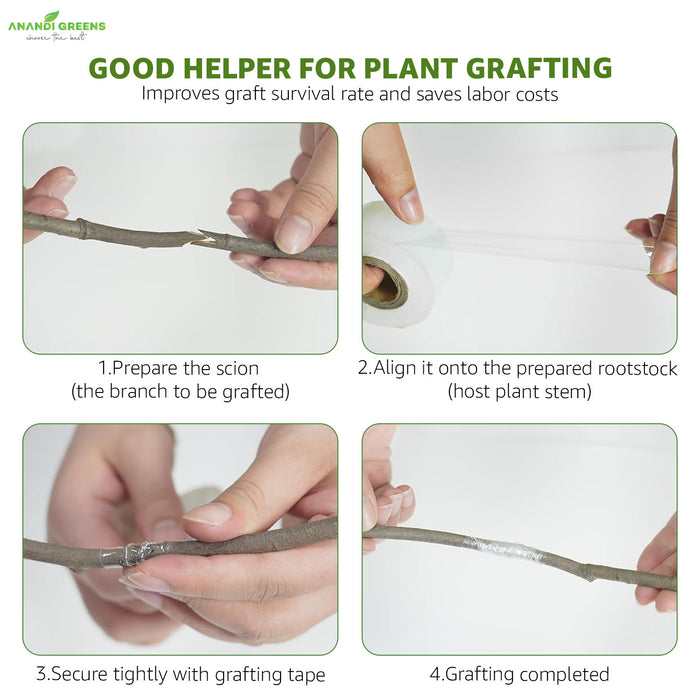 Step-by-step-guide-to-Plant-Grafting-Tape-Anandi-Greens-branding