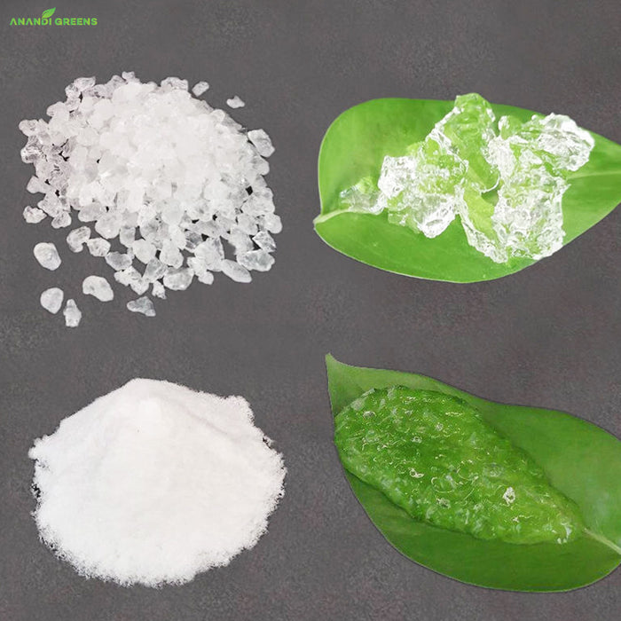 White-crystals-and-powder-on-green-leaves-with-Anand-Greens-branding.