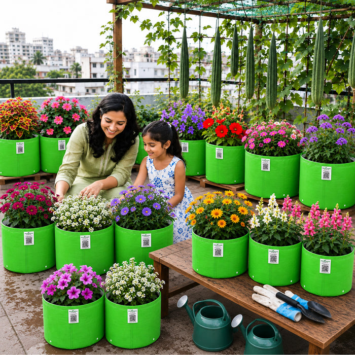 F1 Hybrid Flower Seeds Combo - 10 Varieties