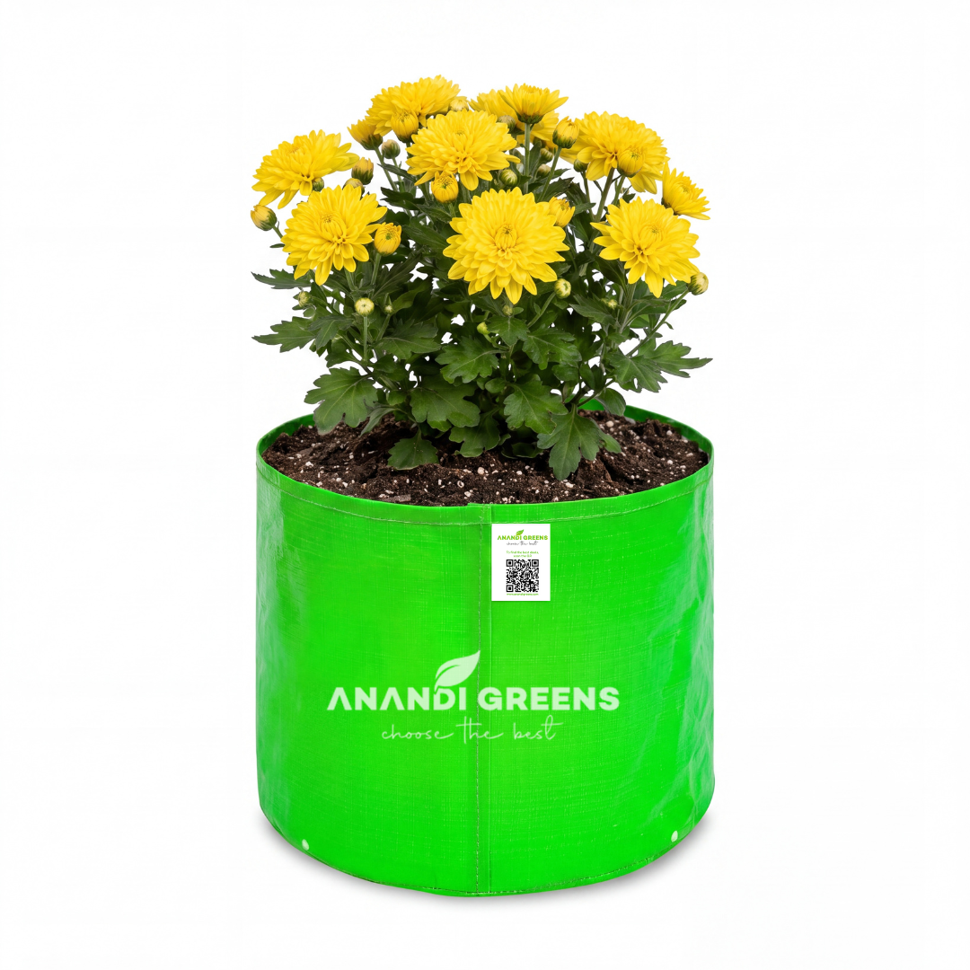 HDPE Circular Grow Bag | 260 GSM