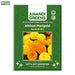 African Marigold (Sondesh Mix) Golden Yellow & Deep Orange Blooms — Winter, Spring & Summer