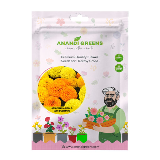 African Marigold (Sondesh Mix) – Seeds