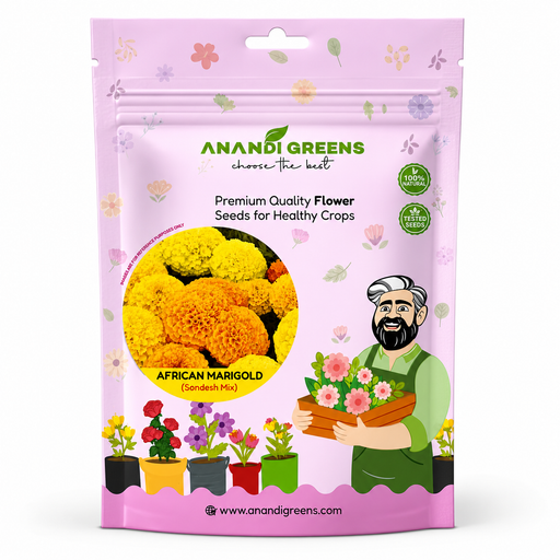 African Marigold (Sondesh Mix) – Seeds